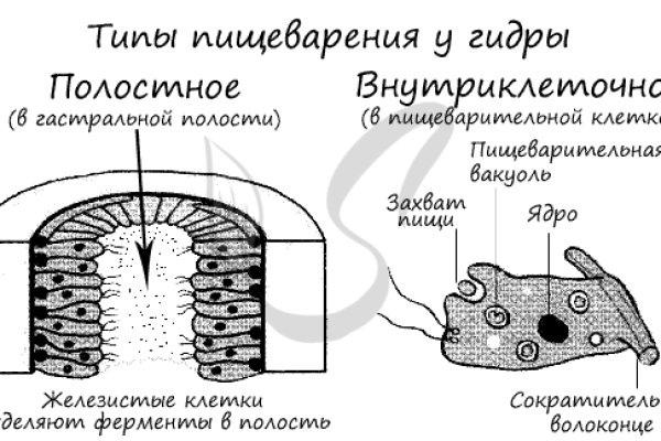 Кракен официальный сайт онион