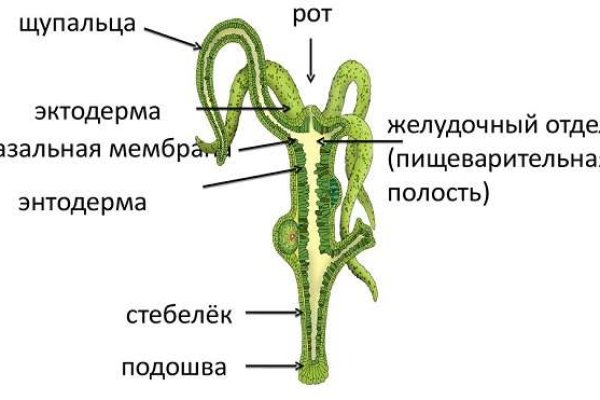 Kraken 23 at