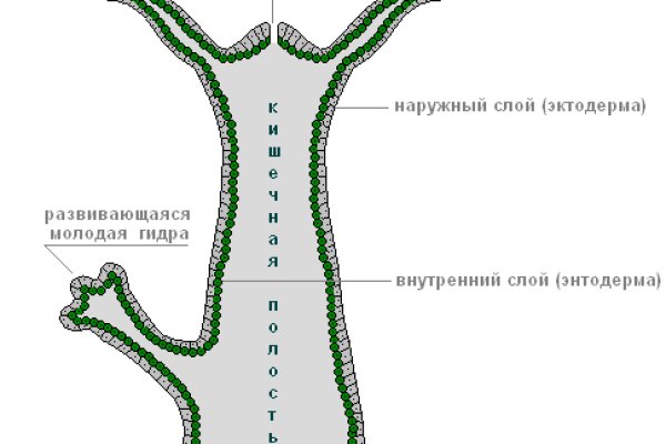 Услуги даркнета