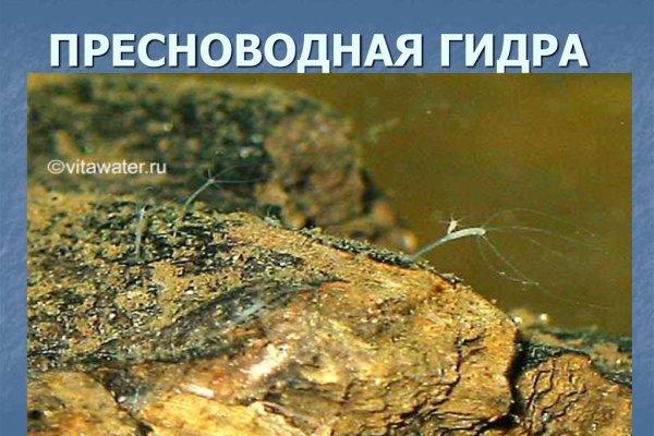 Рабочее зеркало кракен store