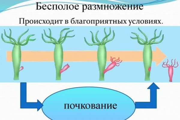 Кракен что продается