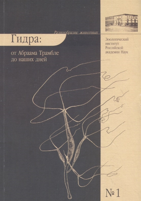 Кракен онион даркнет площадка