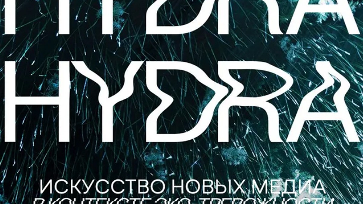 Кракен даркнет только через тор