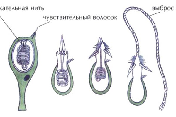 Кракен точка ат